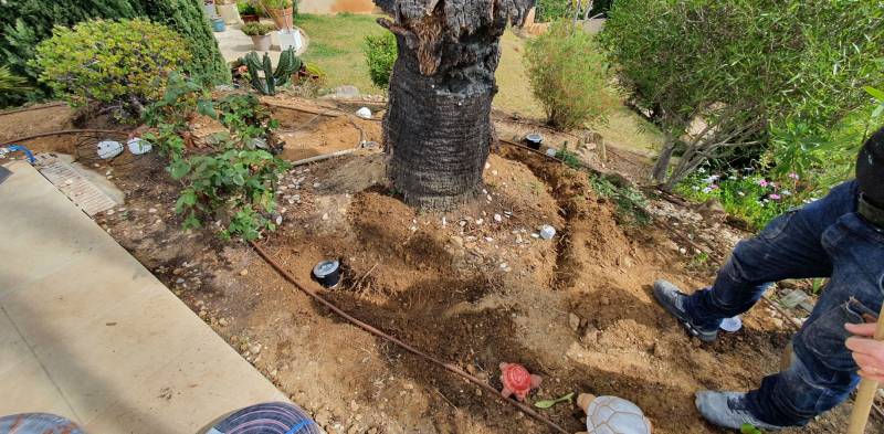 Eclairer et mettre en valeur son jardin Cavalaire