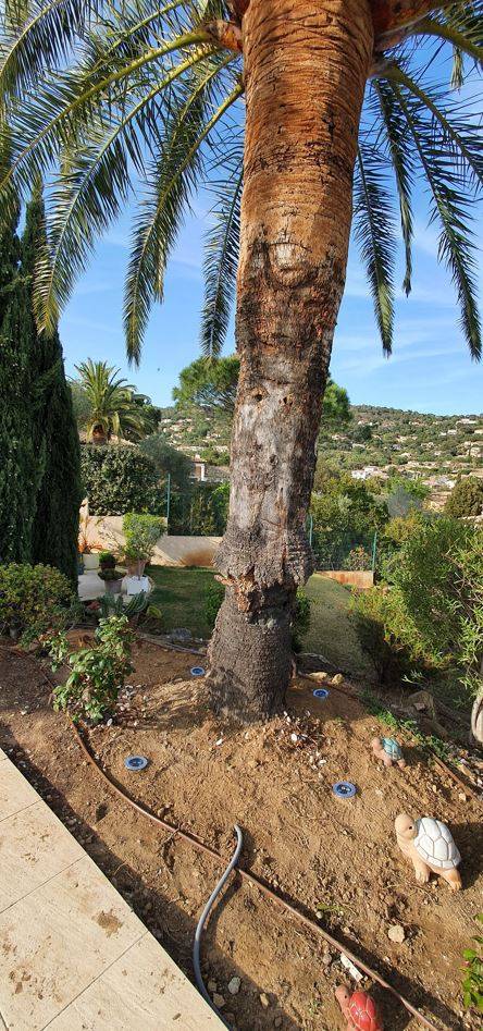 Raccordement électrique pour éclairage de jardin Cavalaire